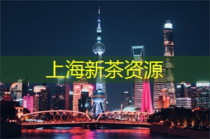 上海论坛：找到改变游戏规则的机会！