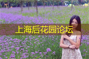 上海夜市的特色美食一览